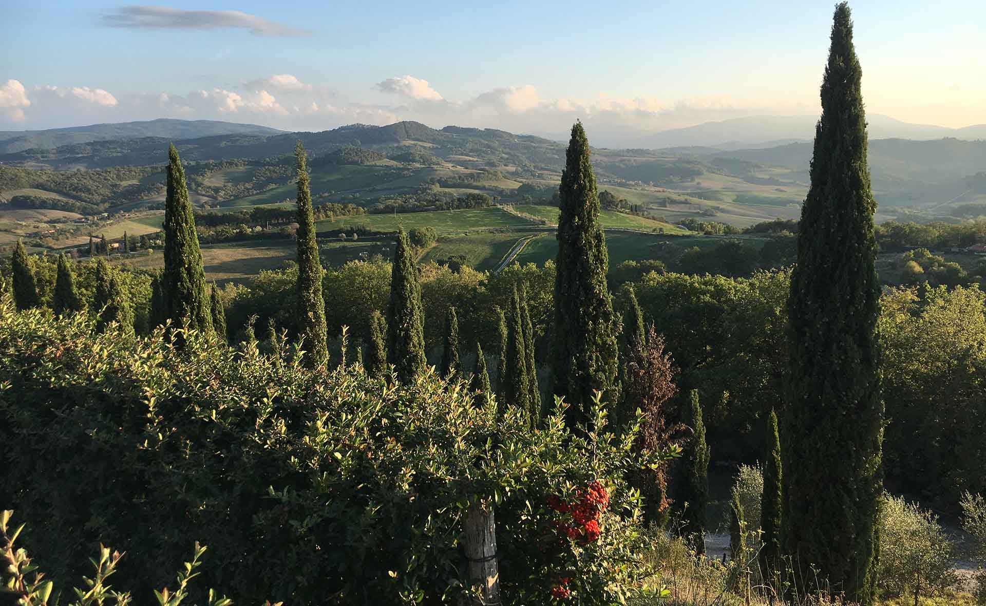 Casole d'Elsa vue insolite des collines et vignobles de Toscane
