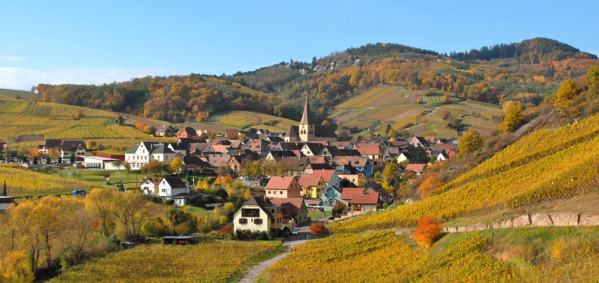 vignoble d'Alsace Niedermorschwihr