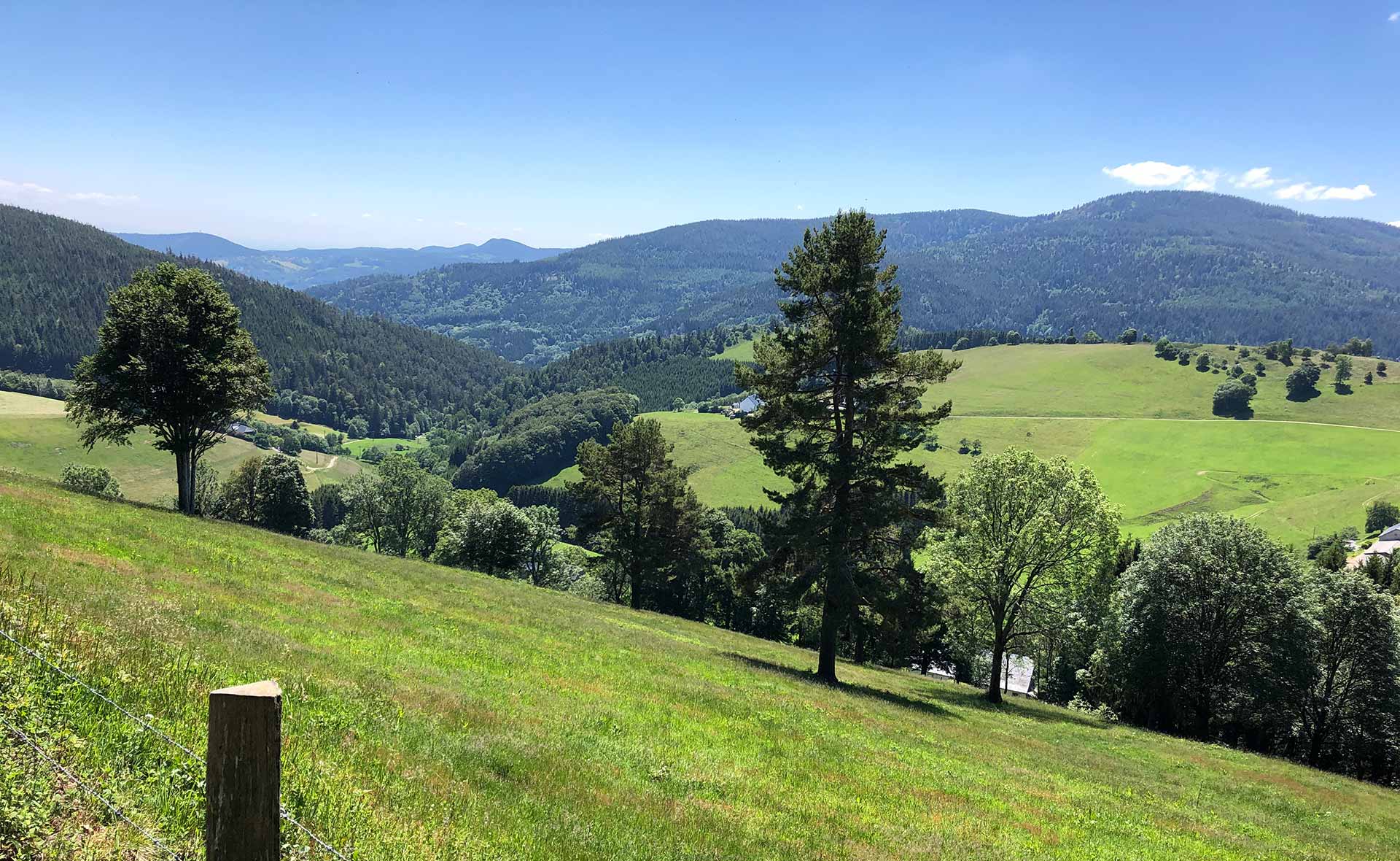 Vue des Vosges