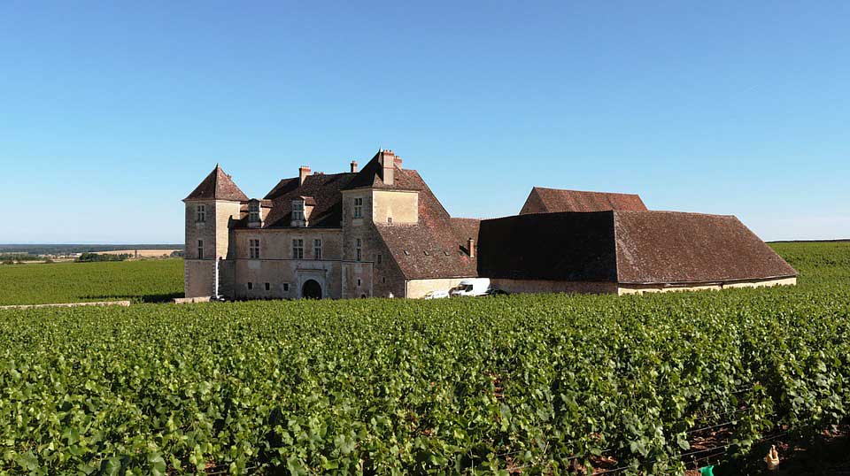 Vignoble de Bourgogne Clos de Vougeot