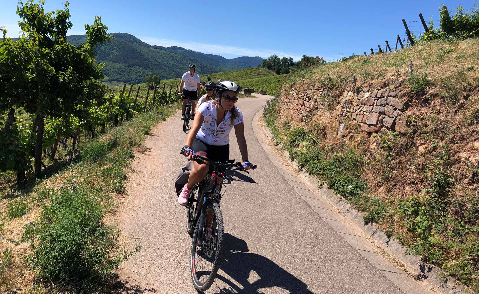 Alsace Chemin des vignes en vélo