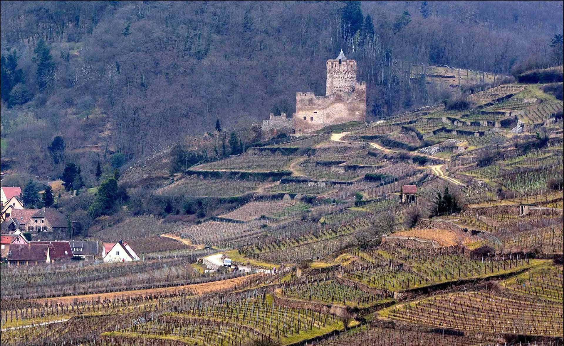 vue du Château Kaysersberg