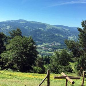 Vallée de Munster Alsace