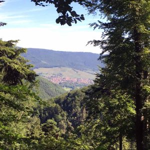 sur les hauteurs d'Alsace