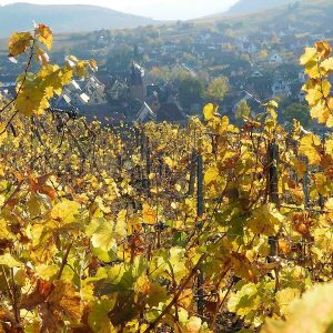 Automne en Alsace