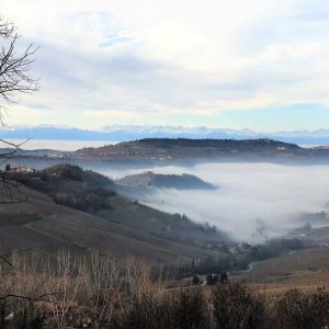 Barolo-3