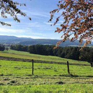 Bettlach Sundgo Gravel Tour Bettlach