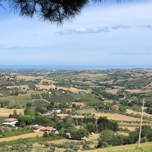 vue des collines CESENA