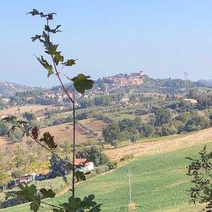 Emilia-Romagna - Forlì Cesena Province