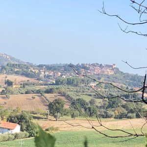 Panorama de la côte adriatique de Gradara