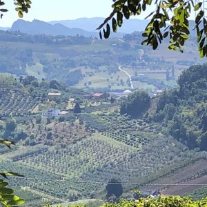 Montecodruzzo - Monteleone