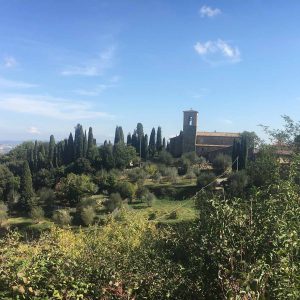 paysage Casole d'elsa