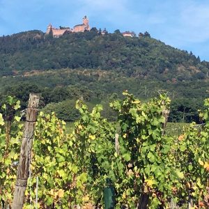 Haut-Koeningsbourg Castel