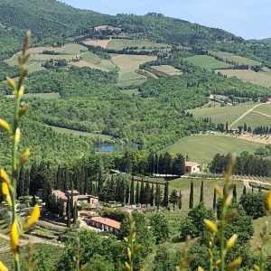 vignoble de Lombardie Chianti