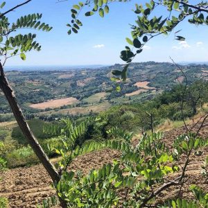 Italie Collines Emilie Romagne