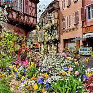 Grand Rue à Colmar maisons à colombage