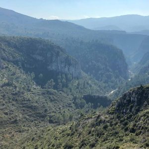 gorges montagnardes