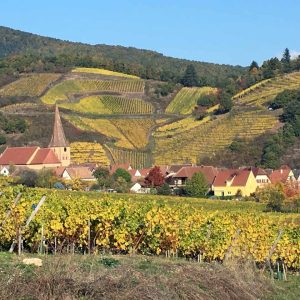Niedermorschwihr Coteau du Sommerberg