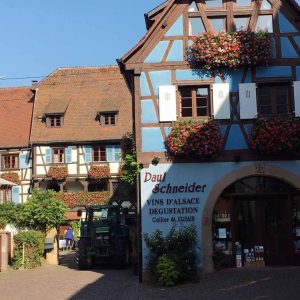 Éguisheim dégustation