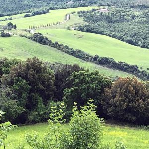 paysage verdoyant côte des Étrusques