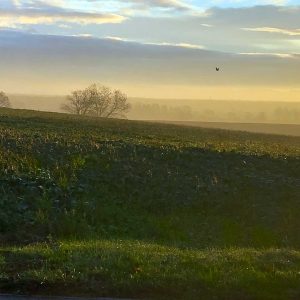 fun2sport en Alsace du Sud pour un gravel tour