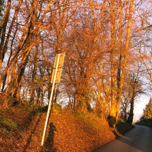 un printemps en Alsace sortie gravel et VTT