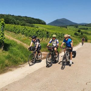 Vignoble alsacien en VTT ou VAE