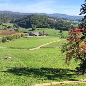 Gravel Tour Sundgau et Jura