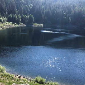 sur les hauteurs d'Orbey en VTT