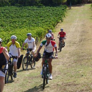 MTB Bike - les vignes Italiennes à vélo