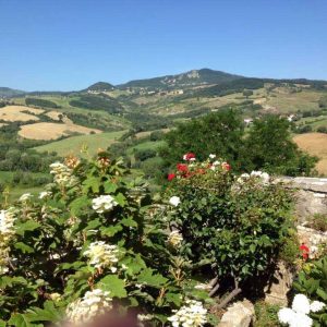 Emilia Romagna Monti