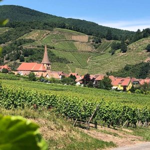 Alsace Niedermorchwihr