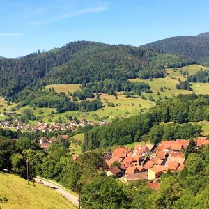 vue du Gaschney - la traversée du massif des Vosges