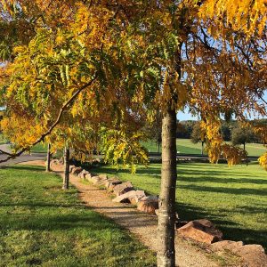 Rantzwiller Gravel Tour Sundgau fun2sport