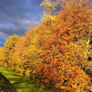 Gravel Tour Sundgau fun2sport Rantzwiller