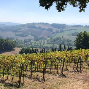 Panoramique vue sur les collines