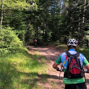 en VEA la Traversée des Vosges