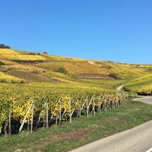 montée du Brand à Turckheim