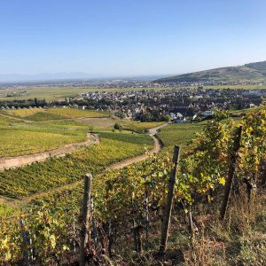 vue sur la plaine d'Alsace depuis Turckheim