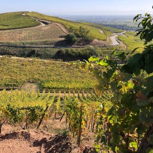 montée sinueuse du Brand à vélo