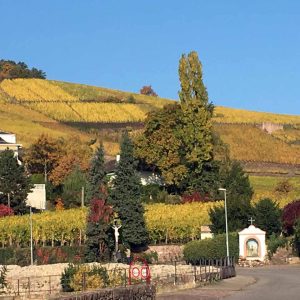 direction le Brans à Turckheim