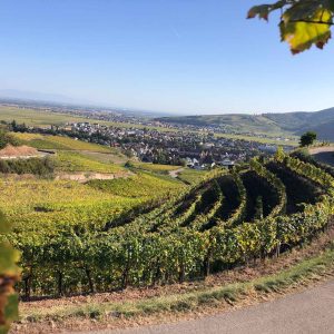 le Brand - Turckheim et son vignoble