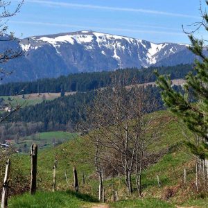 Vallée de Munster vue sur le col du Hohneck euro-vélo route en 5 étapes