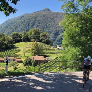 côteaux de Mendrisio le long des lacs Italiens