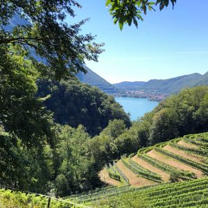 Lacs Italiens côteaux de Mendrisio
