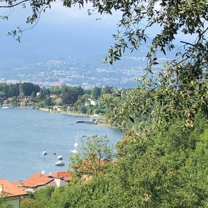Lac Majeur panoramique