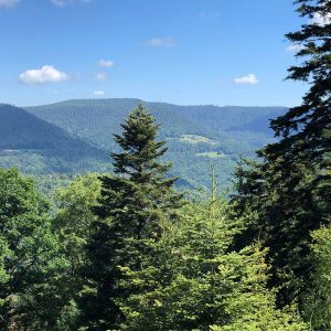 vue des sommets Vosgiens étape de la traversée du massif des Vosges