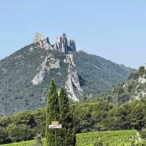 Mont Ventoux les dentelles de Montmirail