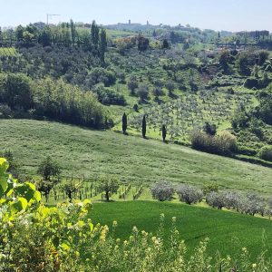 Riccione Emilie-Romagne