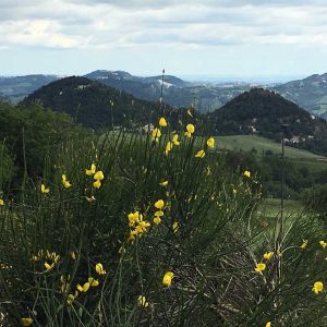 Collines en Émilie Romagne Italie